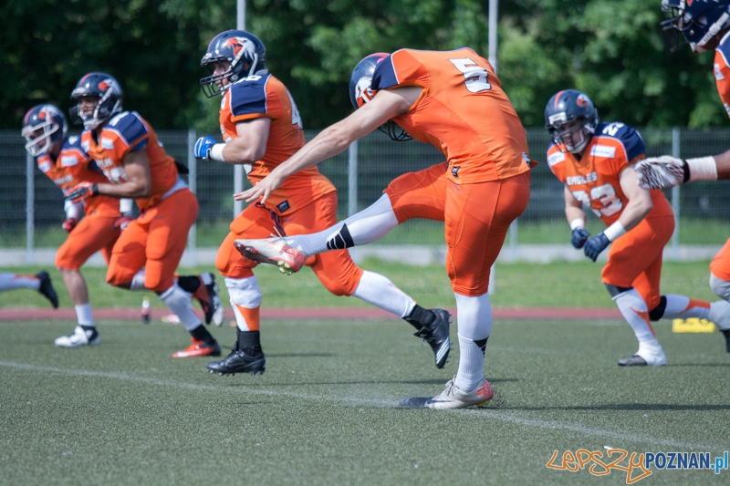Kozły Poznań vs Warsaw Eagles (24.05.2014) Młodzieżowy Ośrodek Kultury Foto: foto: LepszyPOZNAN.pl / Karolina Kiraga Kozły Poznań vs Warsaw Eagles (24.05.2014) Młodzieżowy Ośrodek Kultury Foto: foto: LepszyPOZNAN.pl / Karolina Kiraga