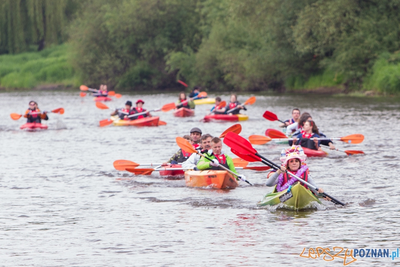 Poznańska Kajakowa Masa Krytyczna Foto: lepszyPOZNAN.pl / Piotr Rychter Poznańska Kajakowa Masa Krytyczna Foto: lepszyPOZNAN.pl / Piotr Rychter