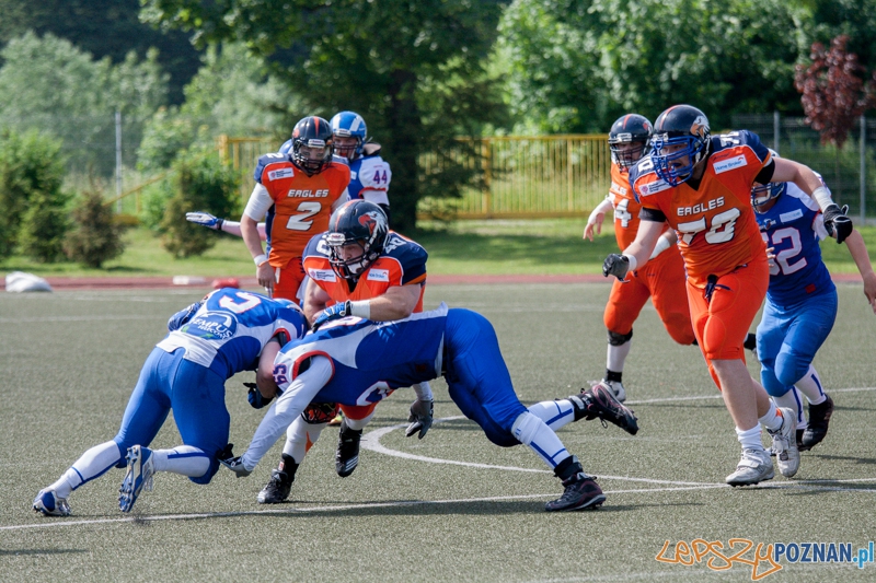 Kozły Poznań vs Warsaw Eagles (24.05.2014) Młodzieżowy Ośrodek Kultury Foto: foto: LepszyPOZNAN.pl / Karolina Kiraga Kozły Poznań vs Warsaw Eagles (24.05.2014) Młodzieżowy Ośrodek Kultury Foto: foto: LepszyPOZNAN.pl / Karolina Kiraga