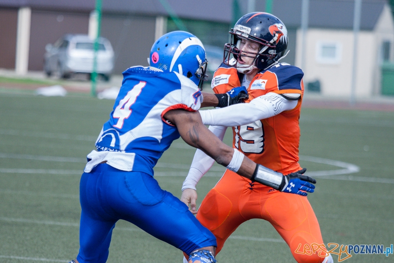 Kozły Poznań vs Warsaw Eagles (24.05.2014) Młodzieżowy Ośrodek Kultury Foto: foto: LepszyPOZNAN.pl / Karolina Kiraga Kozły Poznań vs Warsaw Eagles (24.05.2014) Młodzieżowy Ośrodek Kultury Foto: foto: LepszyPOZNAN.pl / Karolina Kiraga
