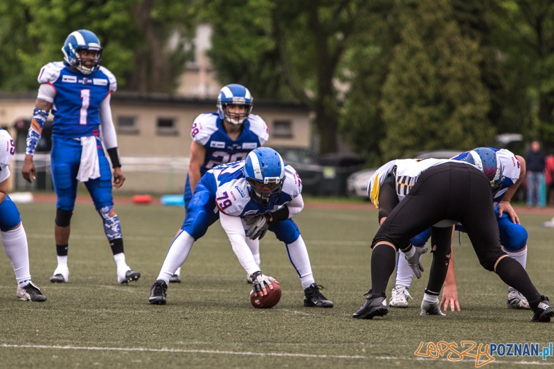 Kozły Poznań - Seahawks Gdynia - Poznań 17.05.2014 r. Foto: lepszyPOZNAN.pl / Piotr Rychter Kozły Poznań - Seahawks Gdynia - Poznań 17.05.2014 r. Foto: lepszyPOZNAN.pl / Piotr Rychter