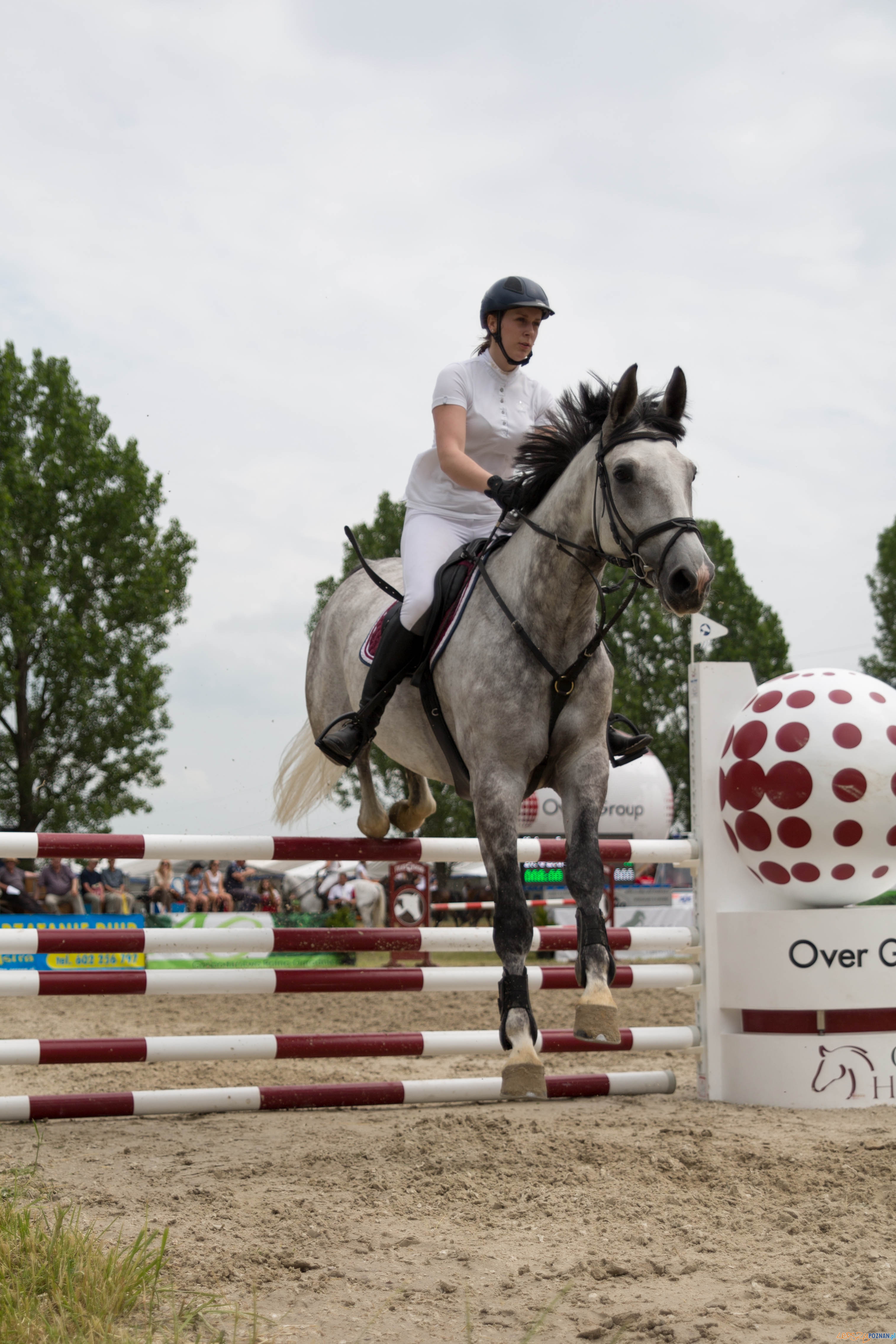 Majówka z koniem Foto: lepszyPOZNAN.pl / Katarzyna Stawecka Majówka z koniem Foto: lepszyPOZNAN.pl / Katarzyna Stawecka