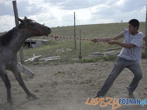 Pine Ridge Foto: materiały prasowe Pine Ridge Foto: materiały prasowe