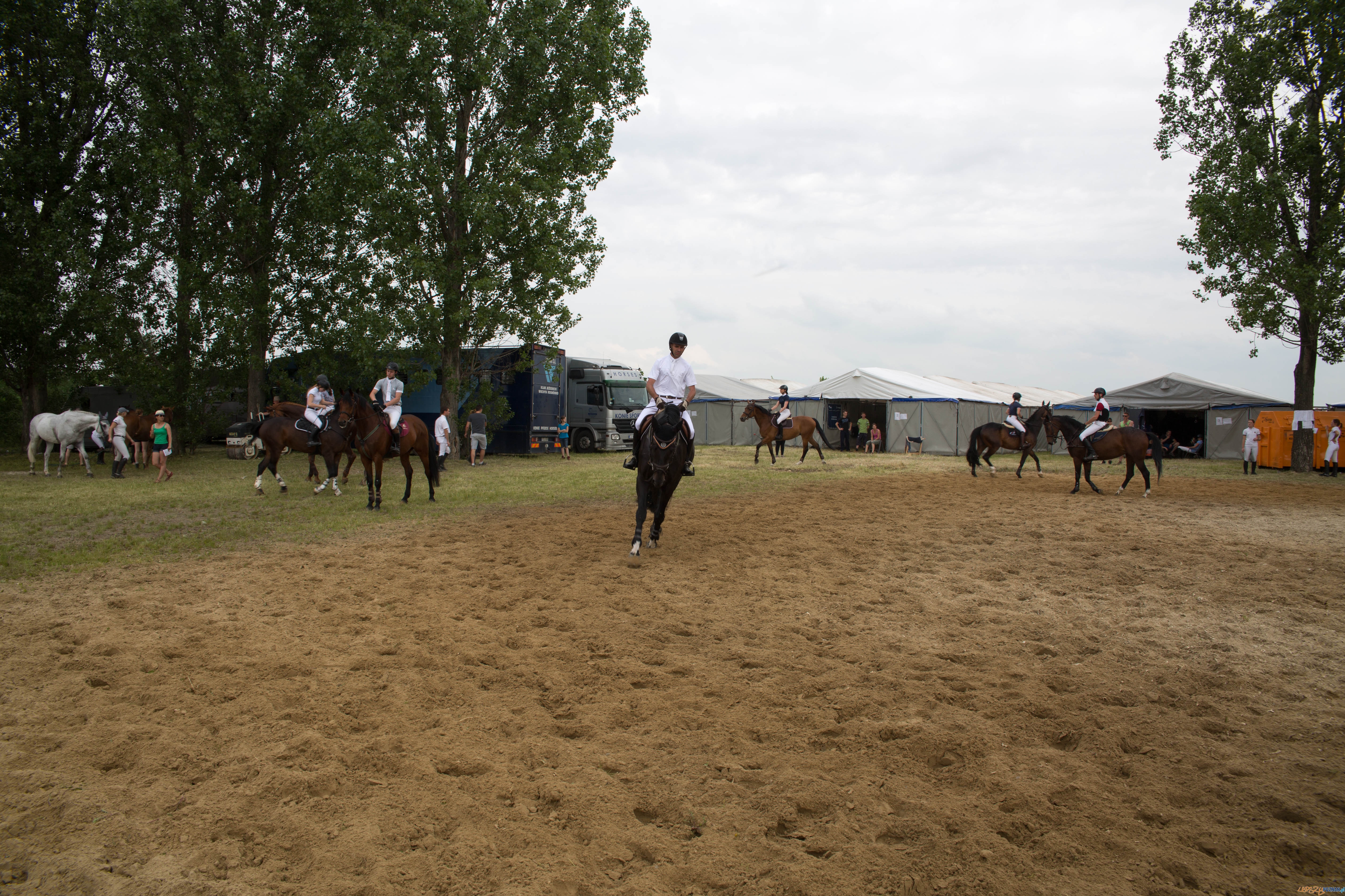 Majówka z koniem Foto: lepszyPOZNAN.pl / Katarzyna Stawecka Majówka z koniem Foto: lepszyPOZNAN.pl / Katarzyna Stawecka
