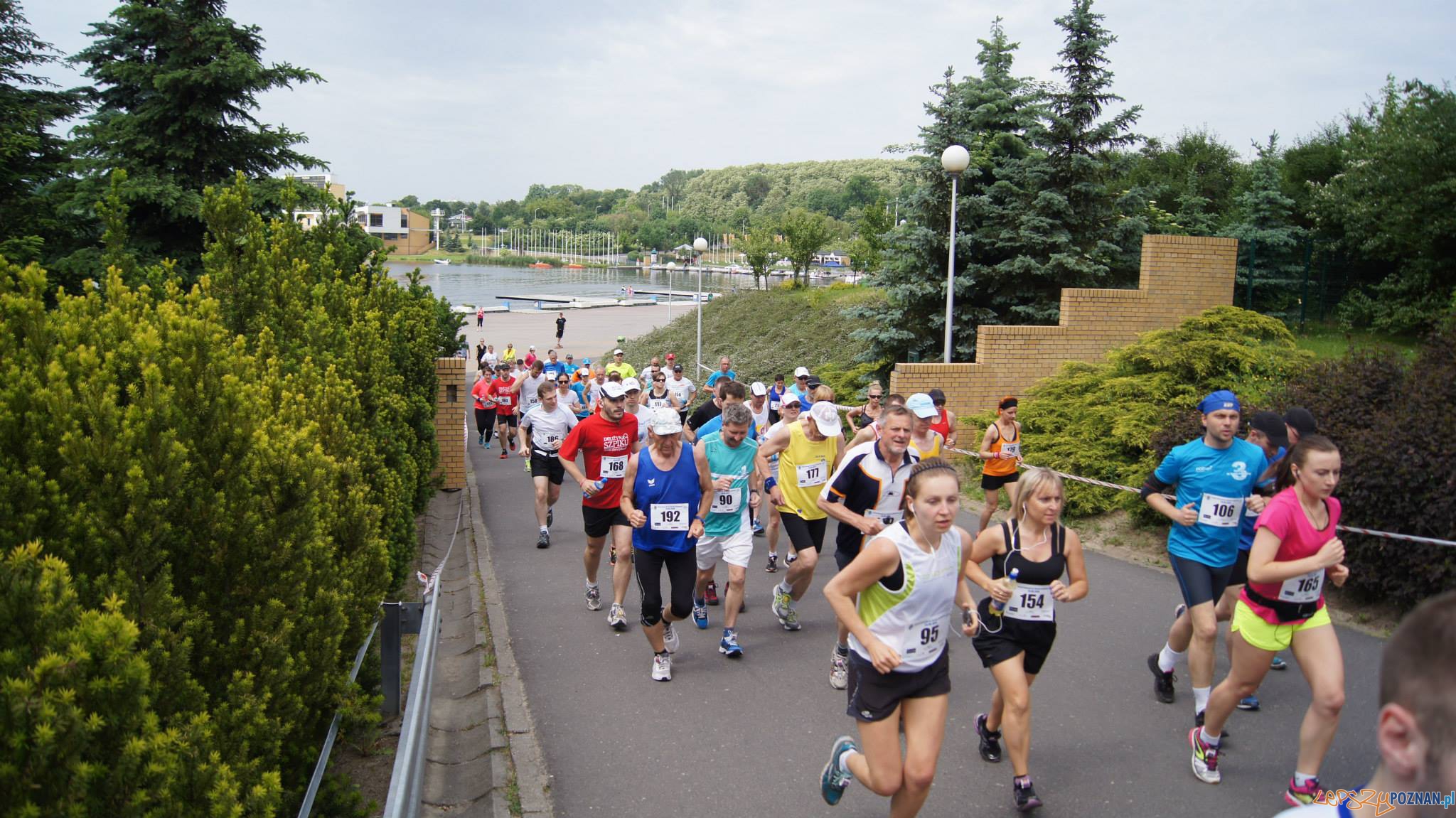 III Bieg 15-stka im. Macieja Frankiewicza Foto: III Bieg 15-stka im. Macieja Frankiewicza Foto: