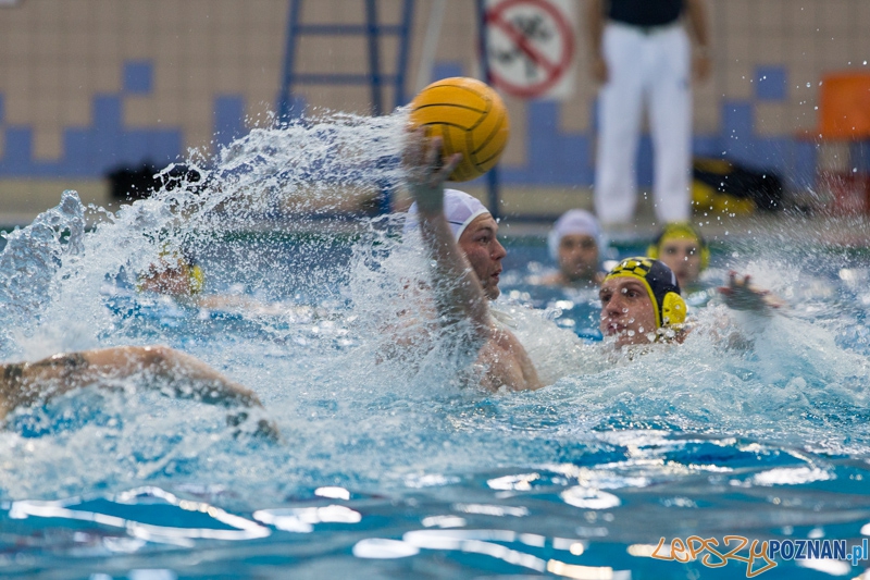 DSW Waterpolo Poznań - ŁSTW Uniwersytet Łódzki (Paweł Wielgórski) Foto: lepszyPOZNAN.pl / Piotr Rychter DSW Waterpolo Poznań - ŁSTW Uniwersytet Łódzki (Paweł Wielgórski) Foto: lepszyPOZNAN.pl / Piotr Rychter