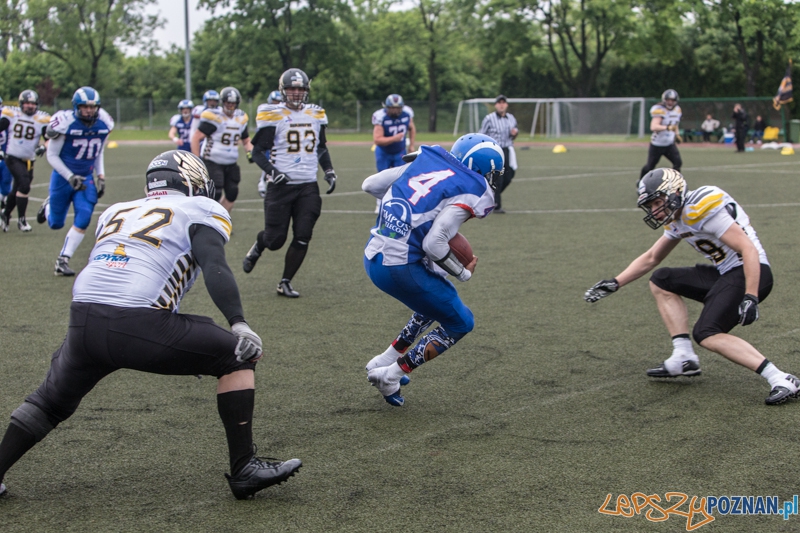Kozły Poznań - Seahawks Gdynia - Poznań 17.05.2014 r. Foto: lepszyPOZNAN.pl / Piotr Rychter Kozły Poznań - Seahawks Gdynia - Poznań 17.05.2014 r. Foto: lepszyPOZNAN.pl / Piotr Rychter