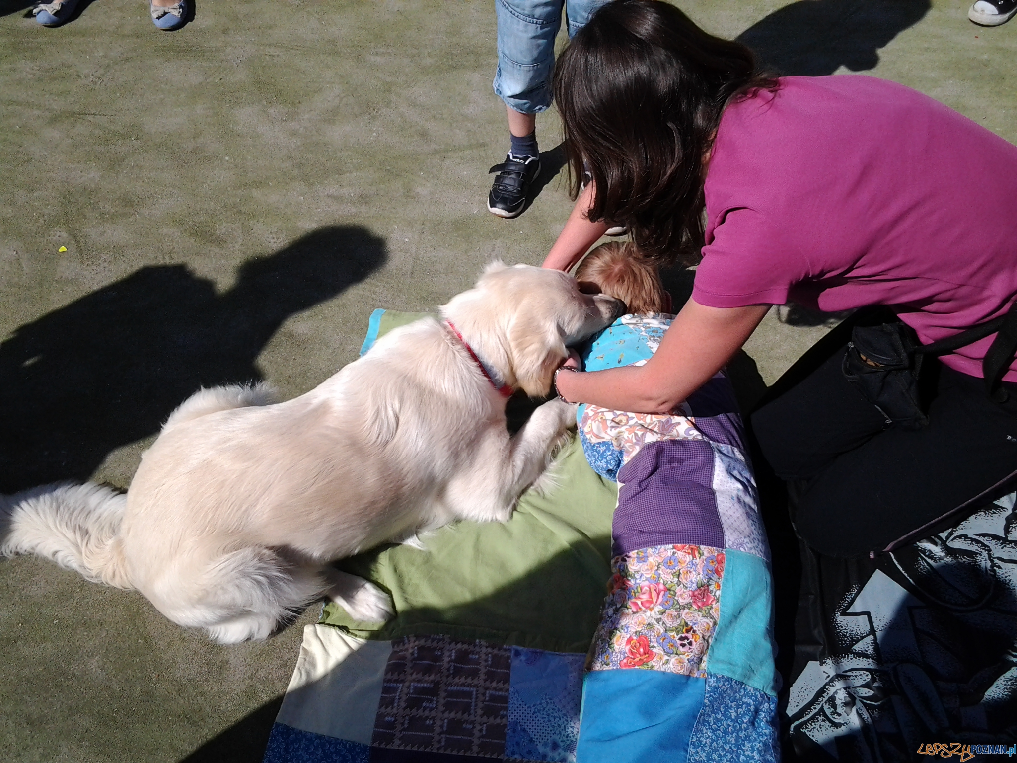 Festyn z okazji Dnia Dziecka Foto: lepszyPOZNAN.pl / tab Festyn z okazji Dnia Dziecka Foto: lepszyPOZNAN.pl / tab