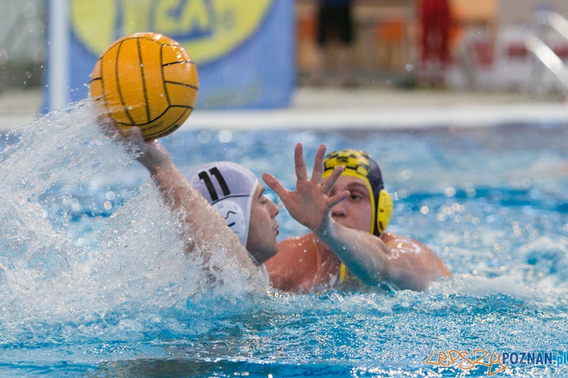 DSW Waterpolo Poznań - ŁSTW Uniwersytet Łódzki (Oskar Szymonik) Foto: lepszyPOZNAN.pl / Piotr Rychter DSW Waterpolo Poznań - ŁSTW Uniwersytet Łódzki (Oskar Szymonik) Foto: lepszyPOZNAN.pl / Piotr Rychter