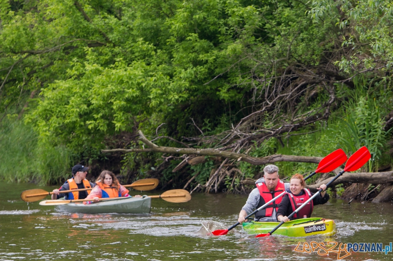 Poznańska Kajakowa Masa Krytyczna Foto: lepszyPOZNAN.pl / Piotr Rychter Poznańska Kajakowa Masa Krytyczna Foto: lepszyPOZNAN.pl / Piotr Rychter
