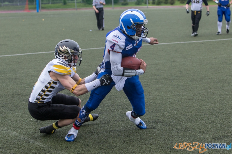 Kozły Poznań - Seahawks Gdynia - Poznań 17.05.2014 r. Foto: lepszyPOZNAN.pl / Piotr Rychter Kozły Poznań - Seahawks Gdynia - Poznań 17.05.2014 r. Foto: lepszyPOZNAN.pl / Piotr Rychter