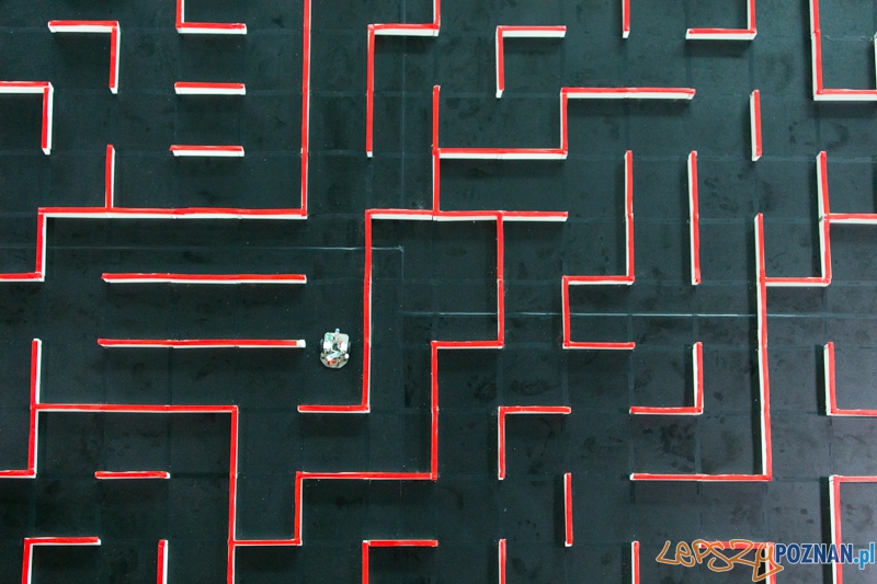 XI Festiwal Robotyki Cyberbot Foto: lepszyPOZNAN.pl / Piotr Rychter XI Festiwal Robotyki Cyberbot Foto: lepszyPOZNAN.pl / Piotr Rychter