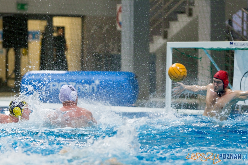 DSW Waterpolo Poznań - ŁSTW Uniwersytet Łódzki Foto: lepszyPOZNAN.pl / Piotr Rychter DSW Waterpolo Poznań - ŁSTW Uniwersytet Łódzki Foto: lepszyPOZNAN.pl / Piotr Rychter