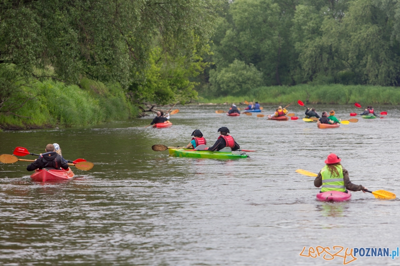 Poznańska Kajakowa Masa Krytyczna Foto: lepszyPOZNAN.pl / Piotr Rychter Poznańska Kajakowa Masa Krytyczna Foto: lepszyPOZNAN.pl / Piotr Rychter