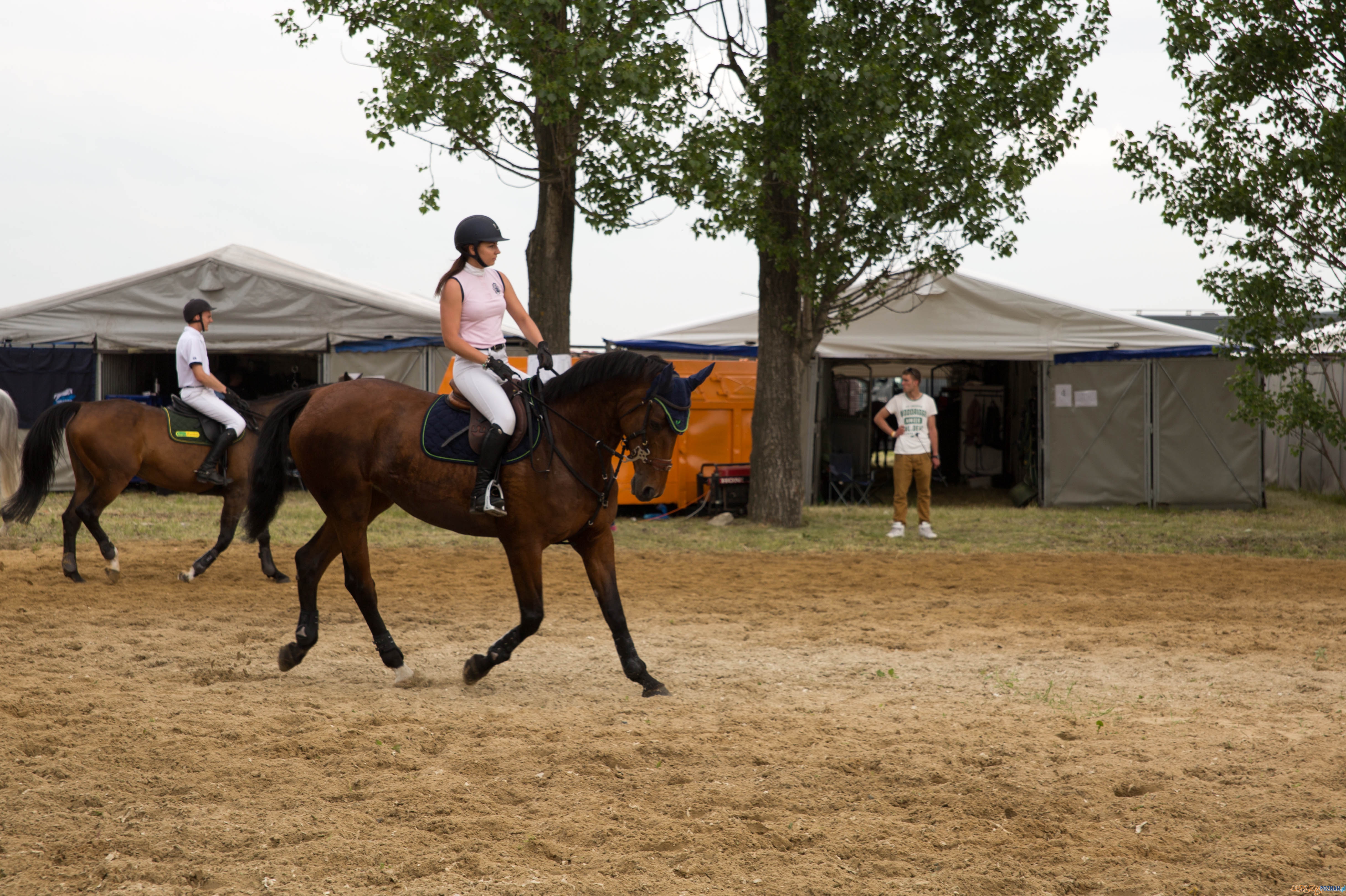 Majówka z koniem Foto: lepszyPOZNAN.pl / Katarzyna Stawecka Majówka z koniem Foto: lepszyPOZNAN.pl / Katarzyna Stawecka