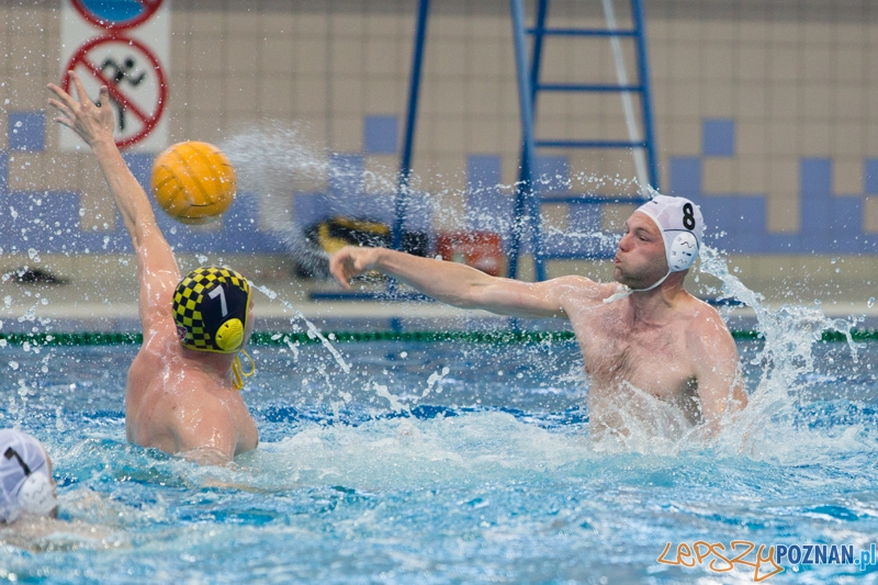 DSW Waterpolo Poznań - ŁSTW Uniwersytet Łódzki (Paweł Wielgórski, Piotr Michalski) Foto: lepszyPOZNAN.pl / Piotr Rychter DSW Waterpolo Poznań - ŁSTW Uniwersytet Łódzki (Paweł Wielgórski, Piotr Michalski) Foto: lepszyPOZNAN.pl / Piotr Rychter