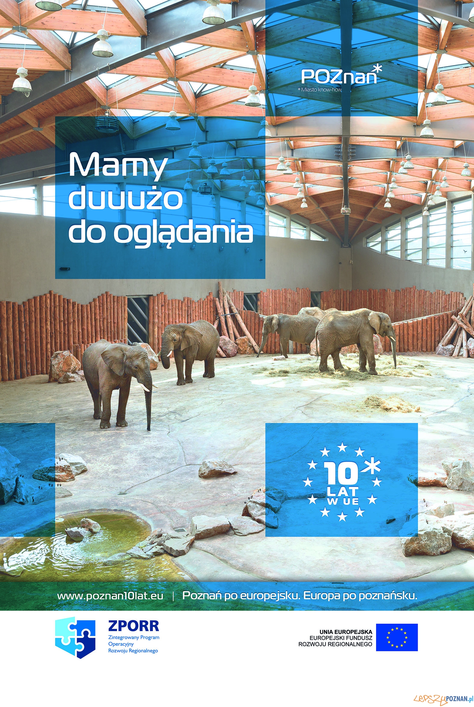 POZNAN citylight slonie Foto: POZNAN citylight slonie Foto: