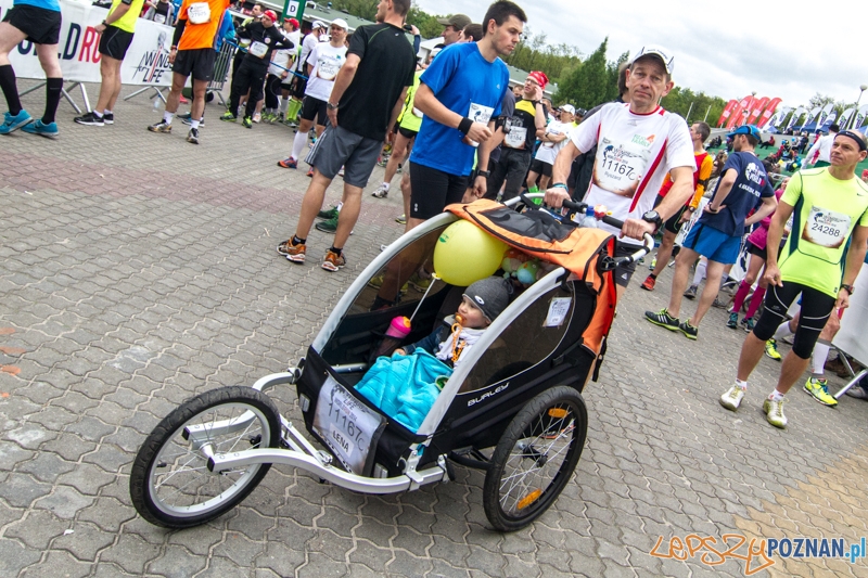 Wings For Life Poland - Poznań 04.05.2014 r. Foto: LepszyPOZNAN.pl / Paweł Rychter Wings For Life Poland - Poznań 04.05.2014 r. Foto: LepszyPOZNAN.pl / Paweł Rychter