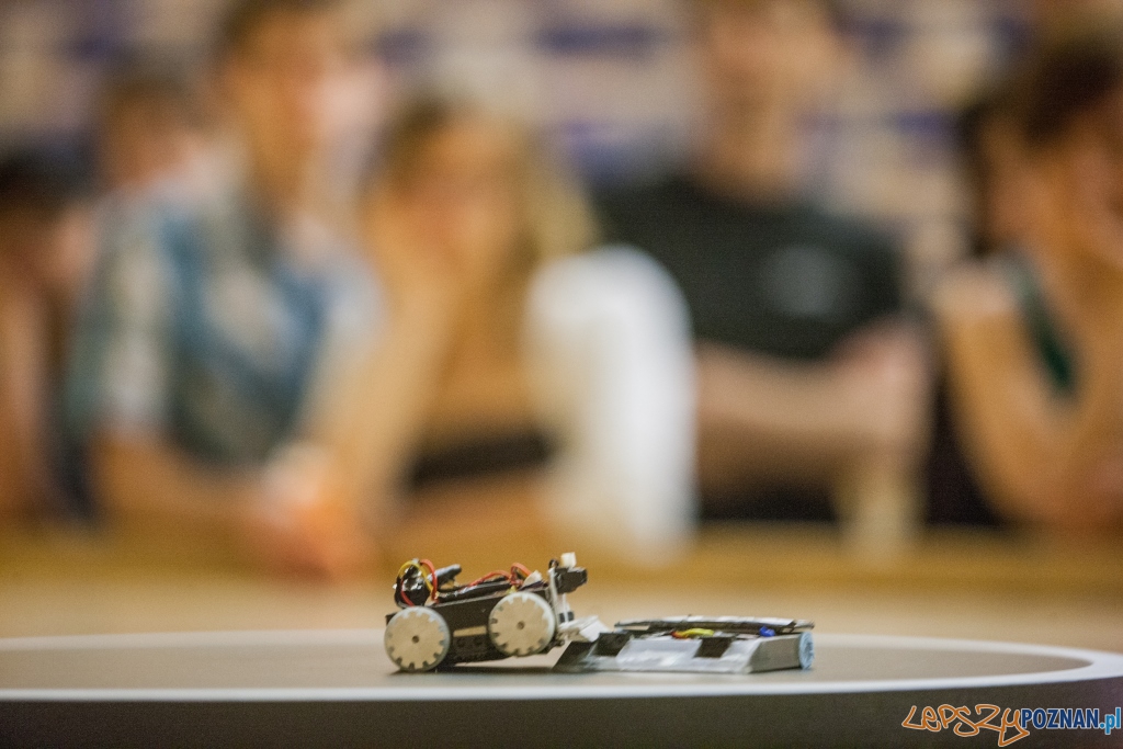 Walki robotów Foto: Walki robotów Foto: