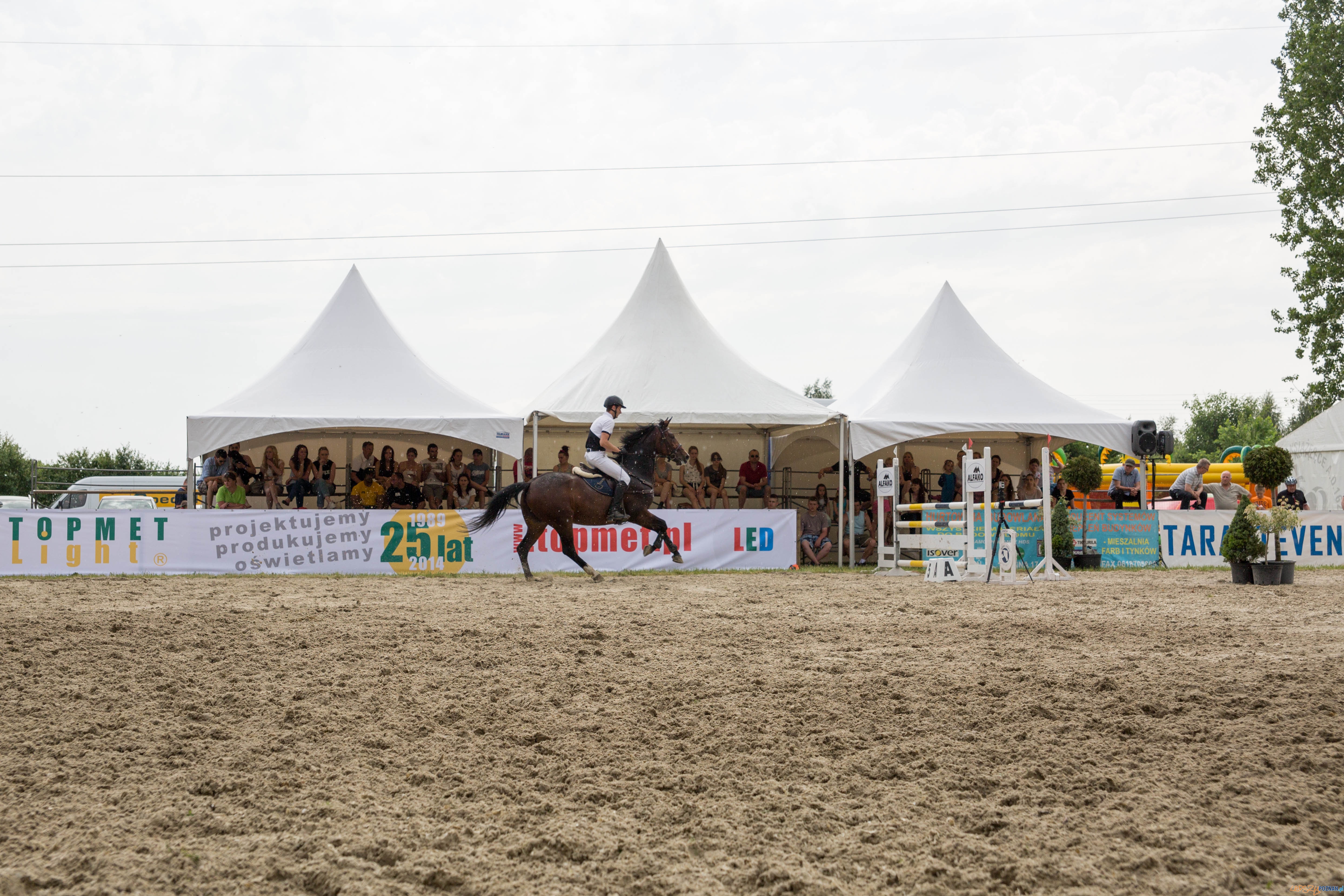 Majówka z koniem Foto: lepszyPOZNAN.pl / Katarzyna Stawecka Majówka z koniem Foto: lepszyPOZNAN.pl / Katarzyna Stawecka