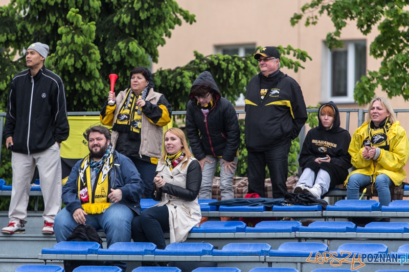 Kozły Poznań - Seahawks Gdynia - Poznań 17.05.2014 r. Foto: lepszyPOZNAN.pl / Piotr Rychter Kozły Poznań - Seahawks Gdynia - Poznań 17.05.2014 r. Foto: lepszyPOZNAN.pl / Piotr Rychter