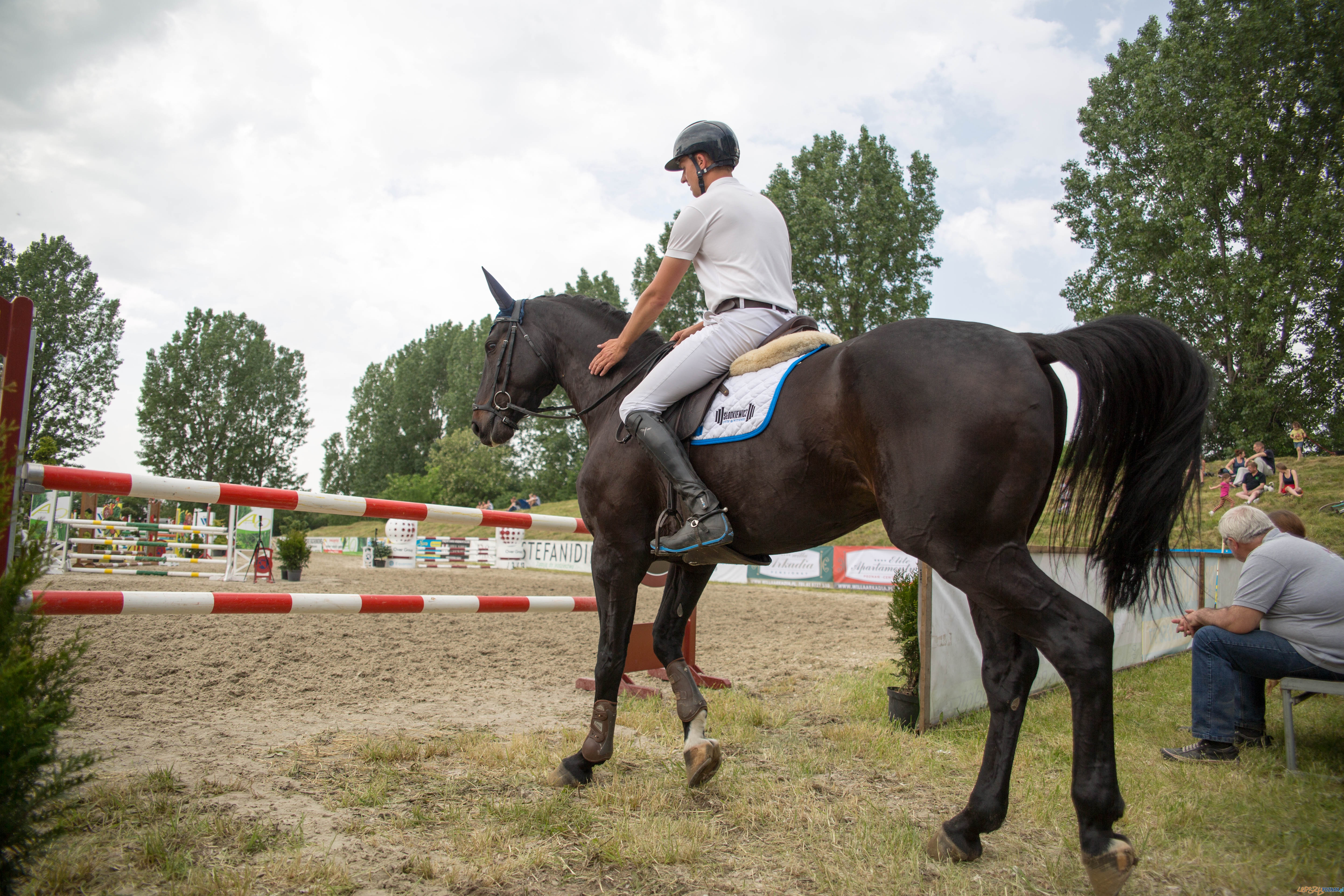 Majówka z koniem Foto: lepszyPOZNAN.pl / Katarzyna Stawecka Majówka z koniem Foto: lepszyPOZNAN.pl / Katarzyna Stawecka