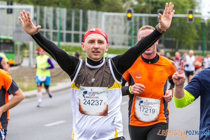 Wings For Life Poland - Poznań 04.05.2014 r. Foto: LepszyPOZNAN.pl / Paweł Rychter Wings For Life Poland - Poznań 04.05.2014 r. Foto: LepszyPOZNAN.pl / Paweł Rychter