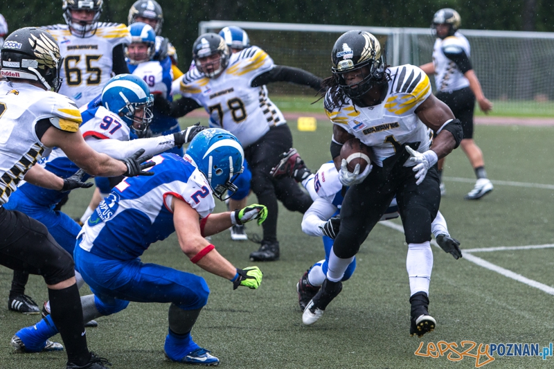 Kozły Poznań - Seahawks Gdynia - Poznań 17.05.2014 r. Foto: lepszyPOZNAN.pl / Piotr Rychter Kozły Poznań - Seahawks Gdynia - Poznań 17.05.2014 r. Foto: lepszyPOZNAN.pl / Piotr Rychter