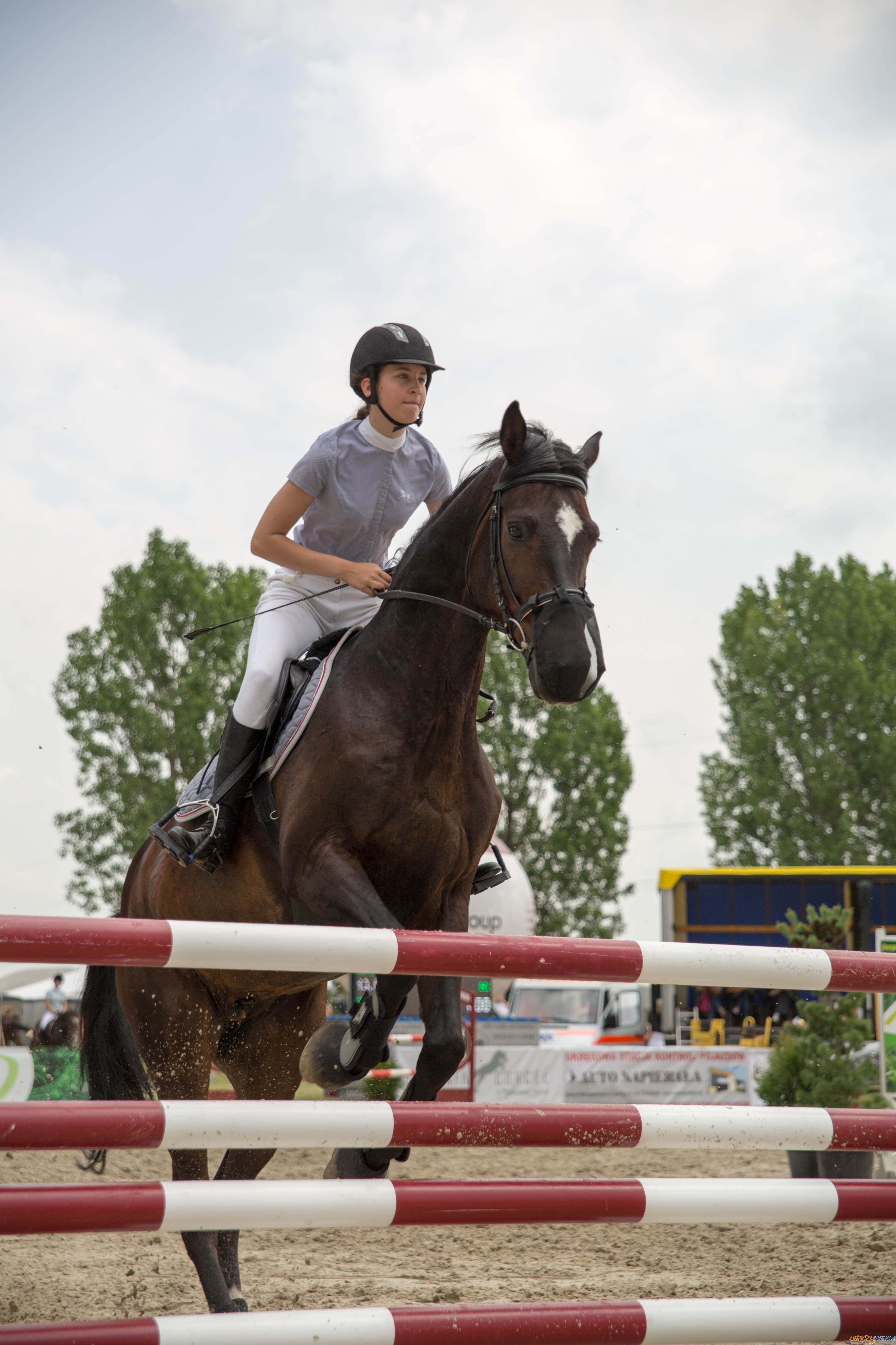 Majówka z koniem Foto: lepszyPOZNAN.pl / Katarzyna Stawecka Majówka z koniem Foto: lepszyPOZNAN.pl / Katarzyna Stawecka