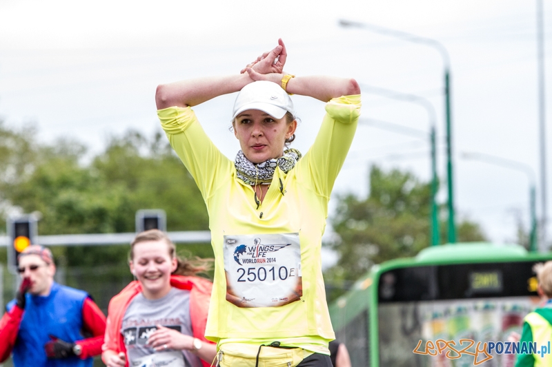 Wings For Life Poland - Poznań 04.05.2014 r. Foto: LepszyPOZNAN.pl / Paweł Rychter Wings For Life Poland - Poznań 04.05.2014 r. Foto: LepszyPOZNAN.pl / Paweł Rychter
