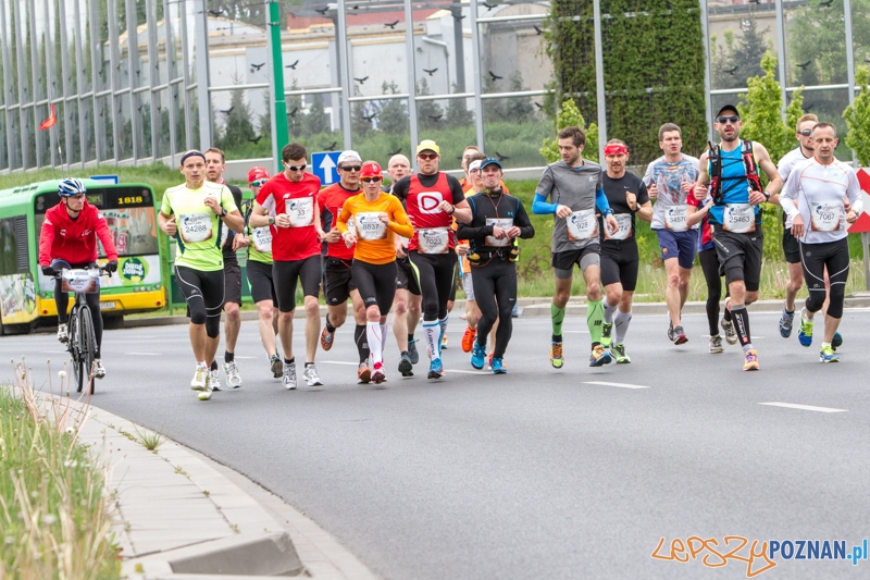 Wings For Life Poland - Poznań 04.05.2014 r. Foto: LepszyPOZNAN.pl / Paweł Rychter Wings For Life Poland - Poznań 04.05.2014 r. Foto: LepszyPOZNAN.pl / Paweł Rychter
