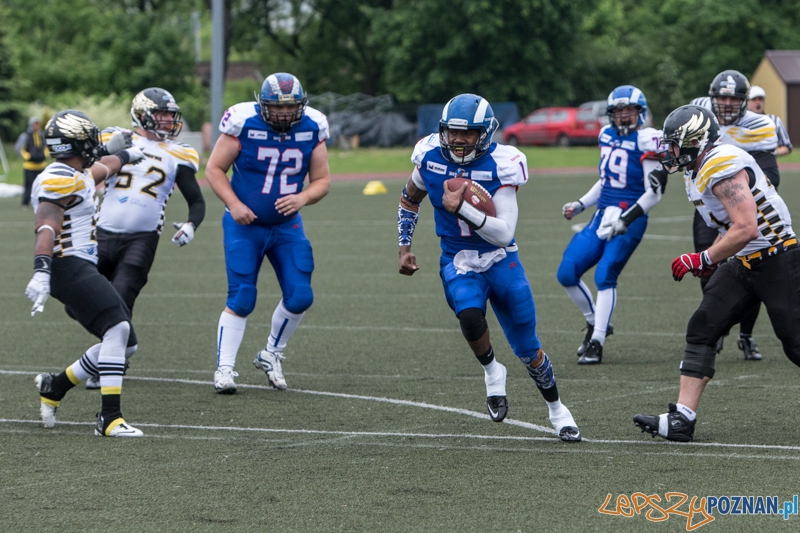 Kozły Poznań - Seahawks Gdynia - Poznań 17.05.2014 r. Foto: lepszyPOZNAN.pl / Piotr Rychter Kozły Poznań - Seahawks Gdynia - Poznań 17.05.2014 r. Foto: lepszyPOZNAN.pl / Piotr Rychter