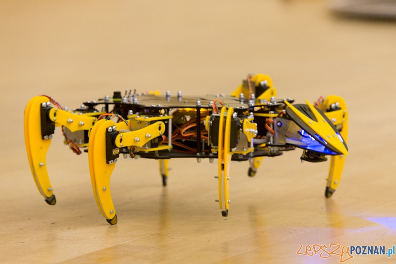 XI Festiwal Robotyki Cyberbot Foto: lepszyPOZNAN.pl / Piotr Rychter XI Festiwal Robotyki Cyberbot Foto: lepszyPOZNAN.pl / Piotr Rychter