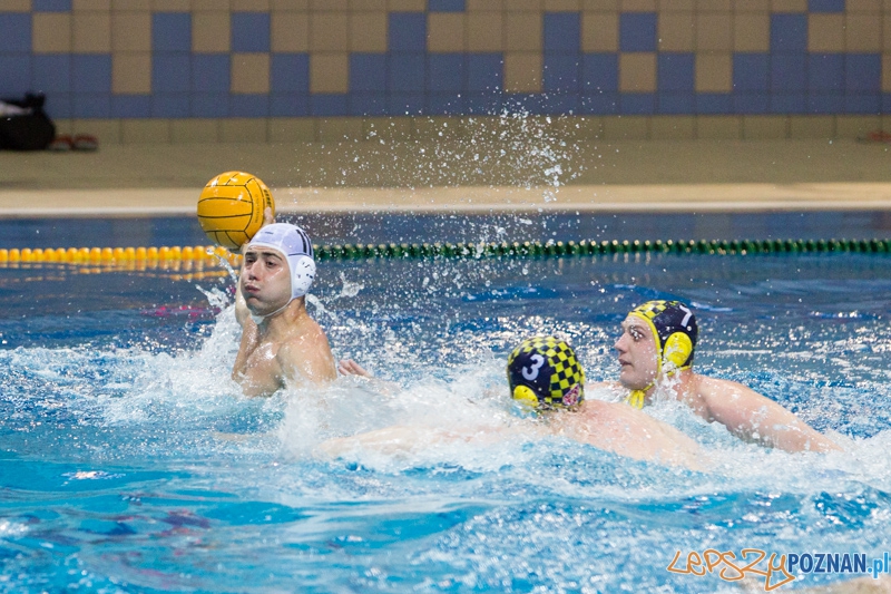 DSW Waterpolo Poznań - ŁSTW Uniwersytet Łódzki (Oskar Szymonik) Foto: lepszyPOZNAN.pl / Piotr Rychter DSW Waterpolo Poznań - ŁSTW Uniwersytet Łódzki (Oskar Szymonik) Foto: lepszyPOZNAN.pl / Piotr Rychter