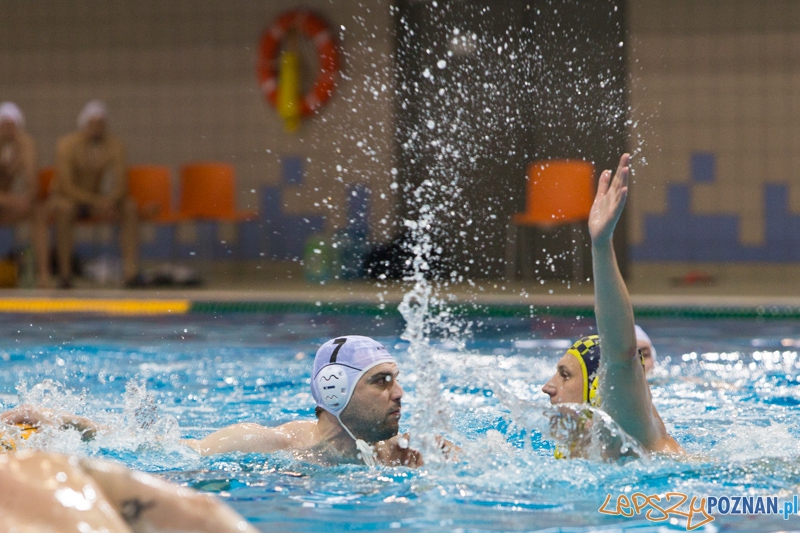 DSW Waterpolo Poznań - ŁSTW Uniwersytet Łódzki (Tomasz Różycki) Foto: lepszyPOZNAN.pl / Piotr Rychter DSW Waterpolo Poznań - ŁSTW Uniwersytet Łódzki (Tomasz Różycki) Foto: lepszyPOZNAN.pl / Piotr Rychter