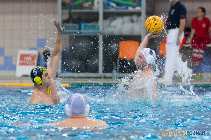 DSW Waterpolo Poznań - ŁSTW Uniwersytet Łódzki (Paweł Wielgórski, Piotr Piatek) Foto: lepszyPOZNAN.pl / Piotr Rychter DSW Waterpolo Poznań - ŁSTW Uniwersytet Łódzki (Paweł Wielgórski, Piotr Piatek) Foto: lepszyPOZNAN.pl / Piotr Rychter
