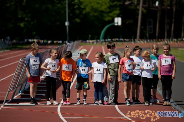 JBL Triathlon Sierakow Foto: Imprezy triathlonowe cieszą się coraz większą popularnością. W zawodach startują dorośli i dzieci. I JBL Triathlon Sierakow Foto: Imprezy triathlonowe cieszą się coraz większą popularnością. W zawodach startują dorośli i dzieci. I