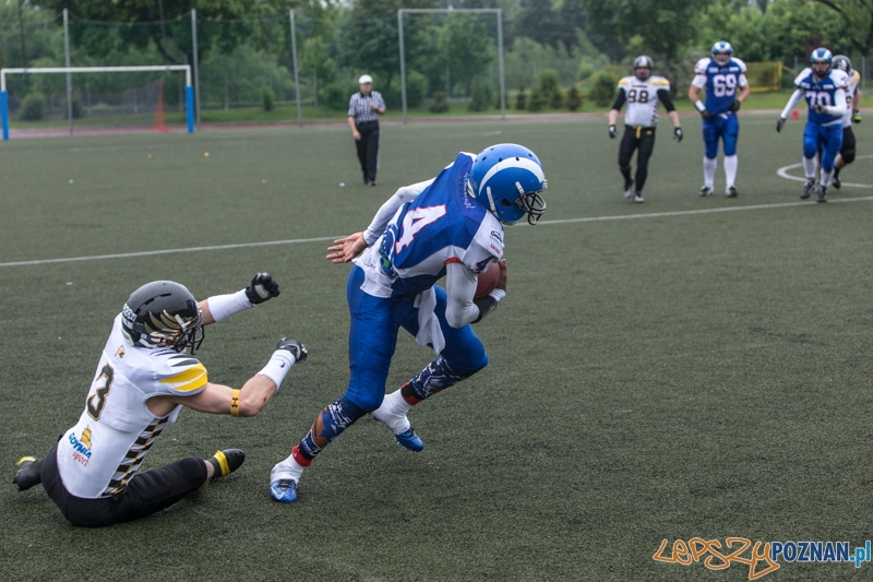 Kozły Poznań - Seahawks Gdynia - Poznań 17.05.2014 r. Foto: lepszyPOZNAN.pl / Piotr Rychter Kozły Poznań - Seahawks Gdynia - Poznań 17.05.2014 r. Foto: lepszyPOZNAN.pl / Piotr Rychter