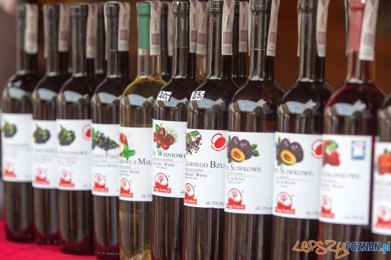 Browar Fest Foto: lepszyPOZNAN.pl / Piotr Rychter Browar Fest Foto: lepszyPOZNAN.pl / Piotr Rychter