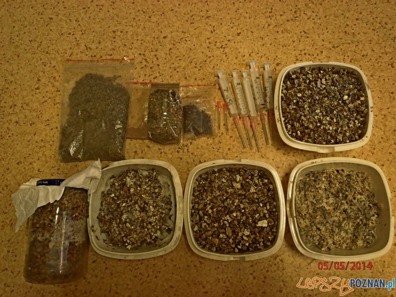 Policja zatrzymała producenta narkotyków Foto: materiały policji Policja zatrzymała producenta narkotyków Foto: materiały policji