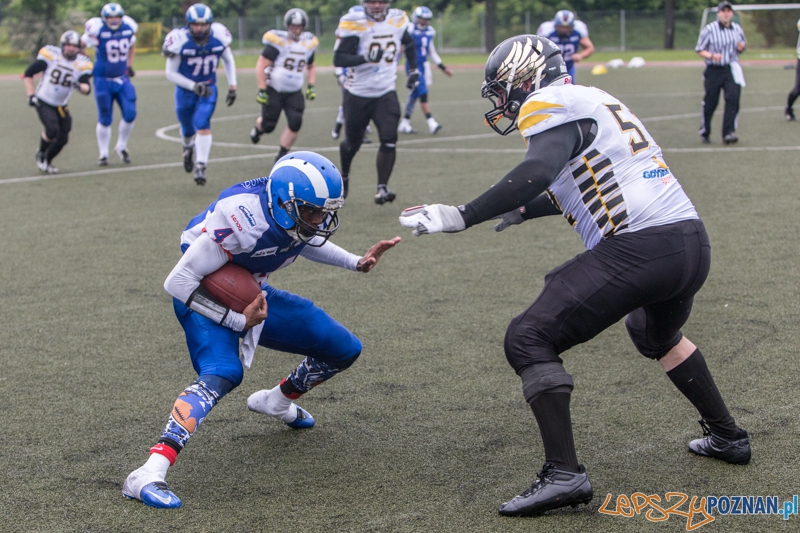 Kozły Poznań - Seahawks Gdynia - Poznań 17.05.2014 r. Foto: lepszyPOZNAN.pl / Piotr Rychter Kozły Poznań - Seahawks Gdynia - Poznań 17.05.2014 r. Foto: lepszyPOZNAN.pl / Piotr Rychter