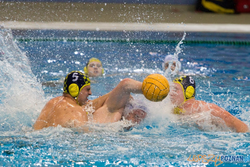 DSW Waterpolo Poznań - ŁSTW Uniwersytet Łódzki Foto: lepszyPOZNAN.pl / Piotr Rychter DSW Waterpolo Poznań - ŁSTW Uniwersytet Łódzki Foto: lepszyPOZNAN.pl / Piotr Rychter