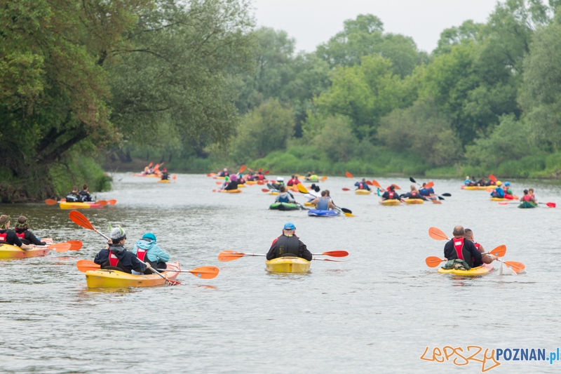 Poznańska Kajakowa Masa Krytyczna Foto: lepszyPOZNAN.pl / Piotr Rychter Poznańska Kajakowa Masa Krytyczna Foto: lepszyPOZNAN.pl / Piotr Rychter