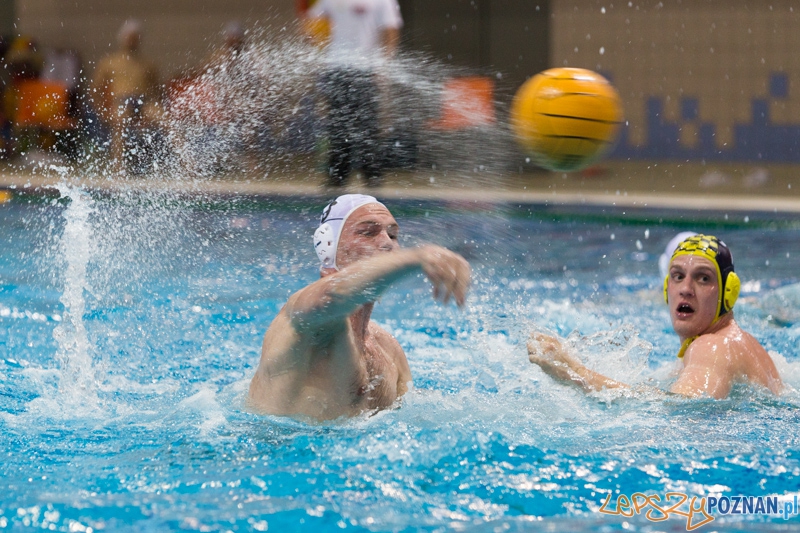 DSW Waterpolo Poznań - ŁSTW Uniwersytet Łódzki (Paweł Wielgórski, Piotr Michalski) Foto: lepszyPOZNAN.pl / Piotr Rychter DSW Waterpolo Poznań - ŁSTW Uniwersytet Łódzki (Paweł Wielgórski, Piotr Michalski) Foto: lepszyPOZNAN.pl / Piotr Rychter