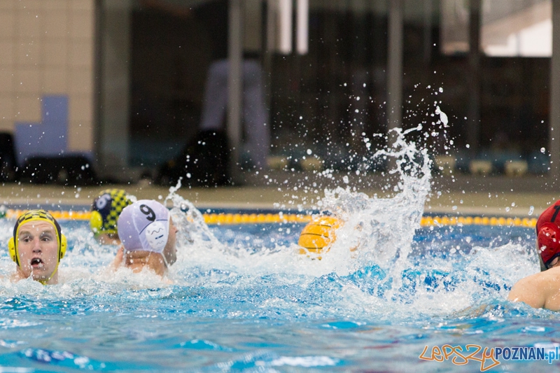 DSW Waterpolo Poznań - ŁSTW Uniwersytet Łódzki Foto: lepszyPOZNAN.pl / Piotr Rychter DSW Waterpolo Poznań - ŁSTW Uniwersytet Łódzki Foto: lepszyPOZNAN.pl / Piotr Rychter