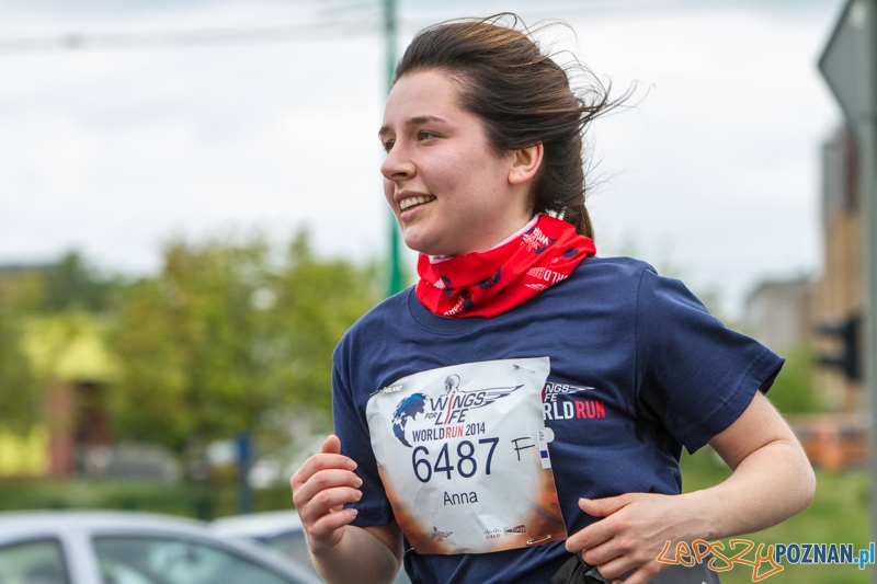 Wings For Life Poland - Poznań 04.05.2014 r. Foto: LepszyPOZNAN.pl / Paweł Rychter Wings For Life Poland - Poznań 04.05.2014 r. Foto: LepszyPOZNAN.pl / Paweł Rychter