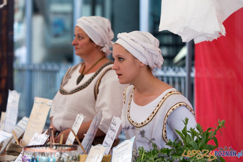 Browar Fest Foto: lepszyPOZNAN.pl / Piotr Rychter Browar Fest Foto: lepszyPOZNAN.pl / Piotr Rychter