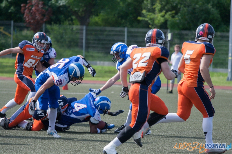 Kozły Poznań vs Warsaw Eagles (24.05.2014) Młodzieżowy Ośrodek Kultury Foto: foto: LepszyPOZNAN.pl / Karolina Kiraga Kozły Poznań vs Warsaw Eagles (24.05.2014) Młodzieżowy Ośrodek Kultury Foto: foto: LepszyPOZNAN.pl / Karolina Kiraga