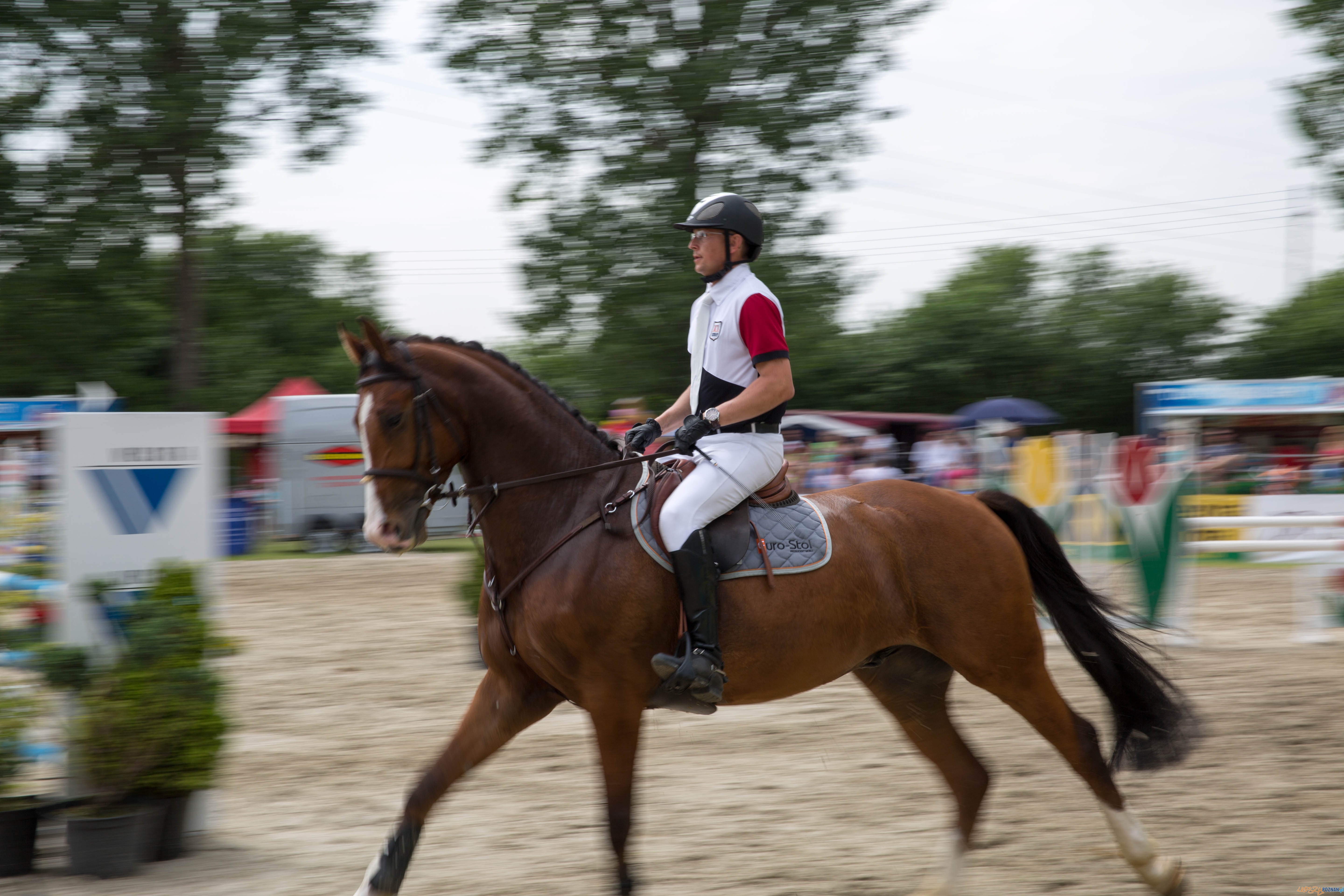 Majówka z koniem Foto: lepszyPOZNAN.pl / Katarzyna Stawecka Majówka z koniem Foto: lepszyPOZNAN.pl / Katarzyna Stawecka