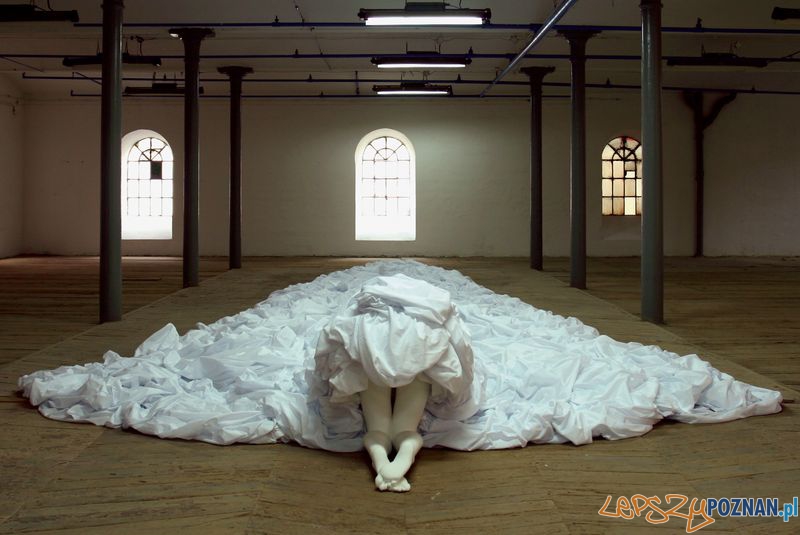 Michowska_Fairy Tale Foto: materiały prasowe Michowska_Fairy Tale Foto: materiały prasowe